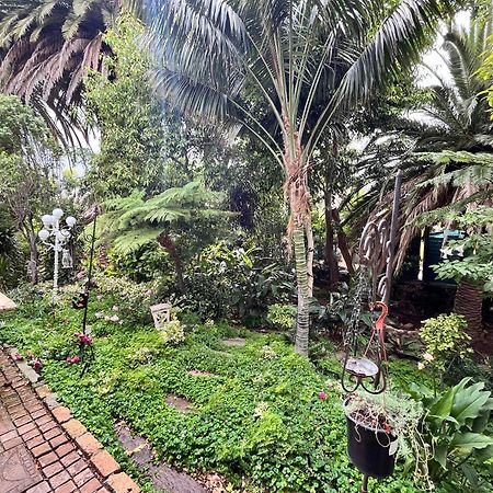 Somerset West Garden Apartments 1 エクステリア 写真